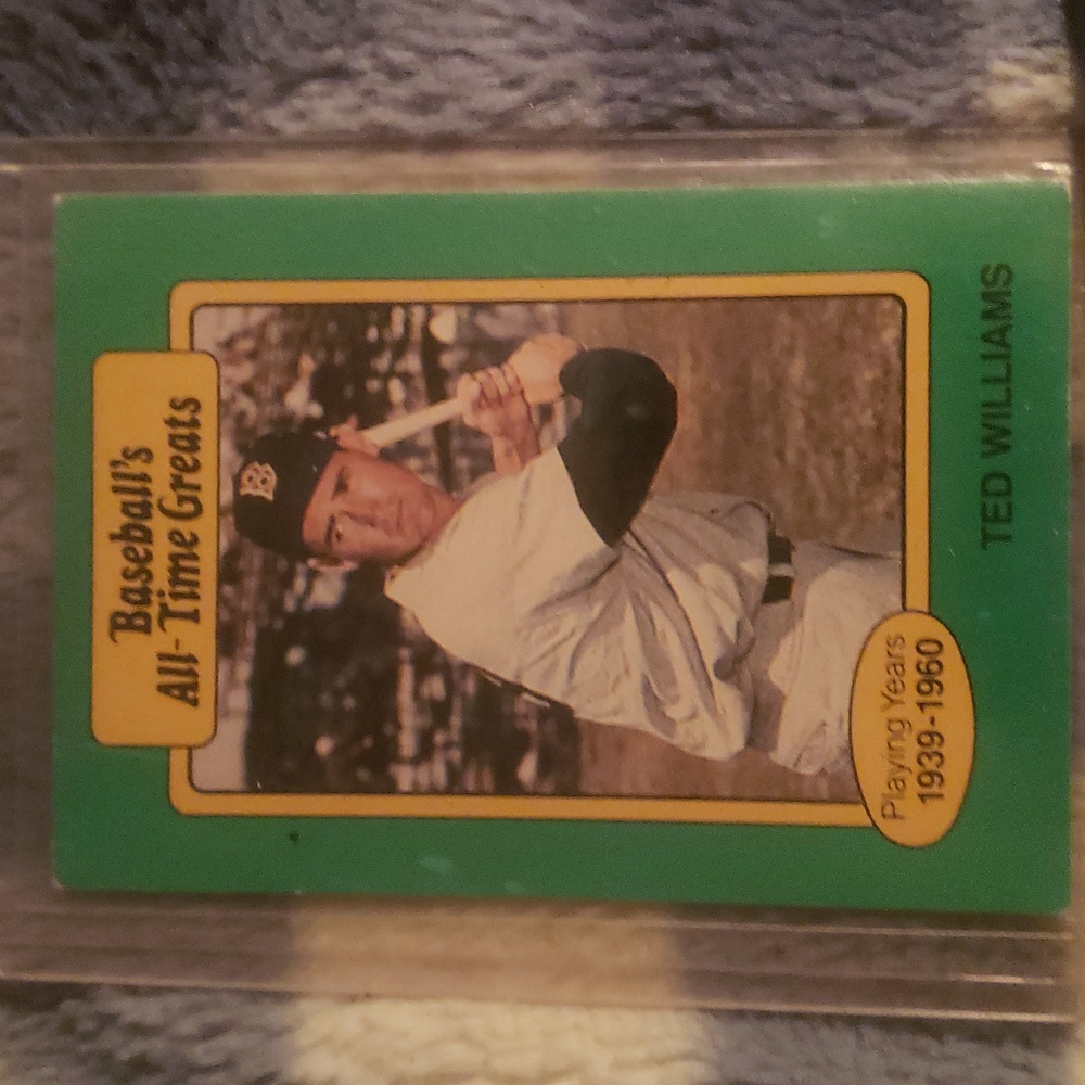 Ted Willimas - Picture 2 of 2
